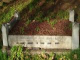 image of grave number 136613